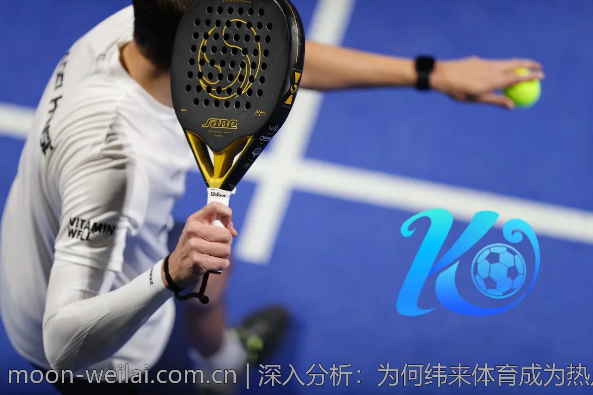 深入分析：为何纬来体育成为热点探讨对象？