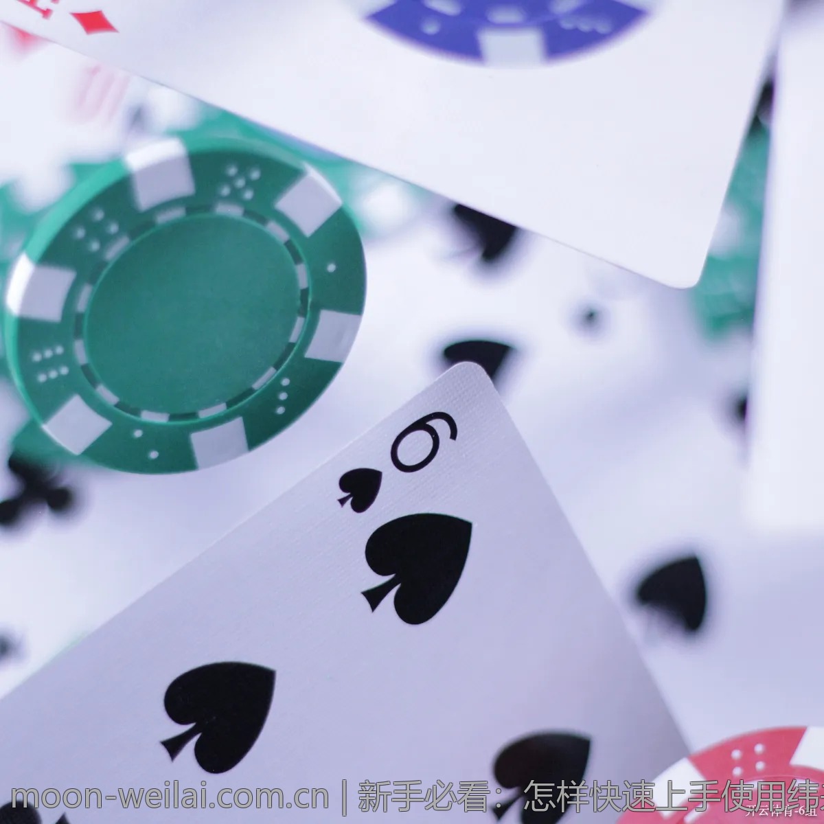 新手必看：怎样快速上手使用纬来体育平台？