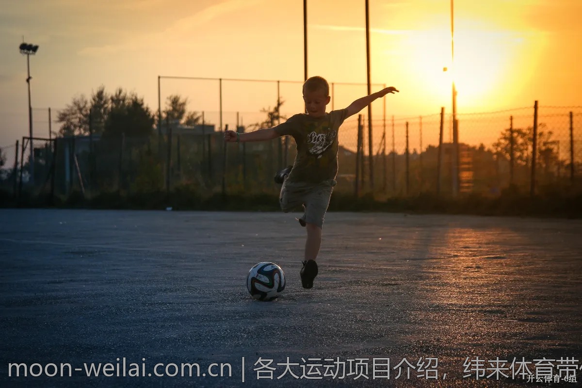 各大运动项目介绍，纬来体育带你了解更多