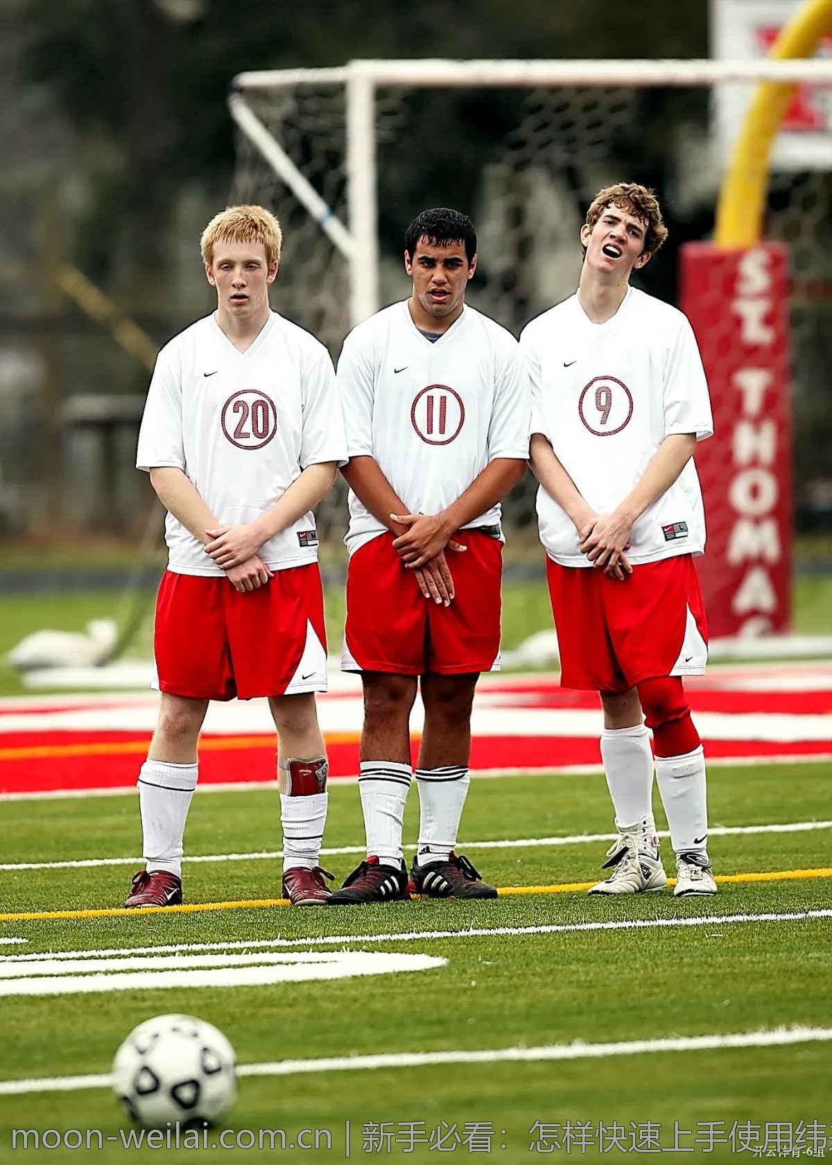 新手必看：怎样快速上手使用纬来体育平台？