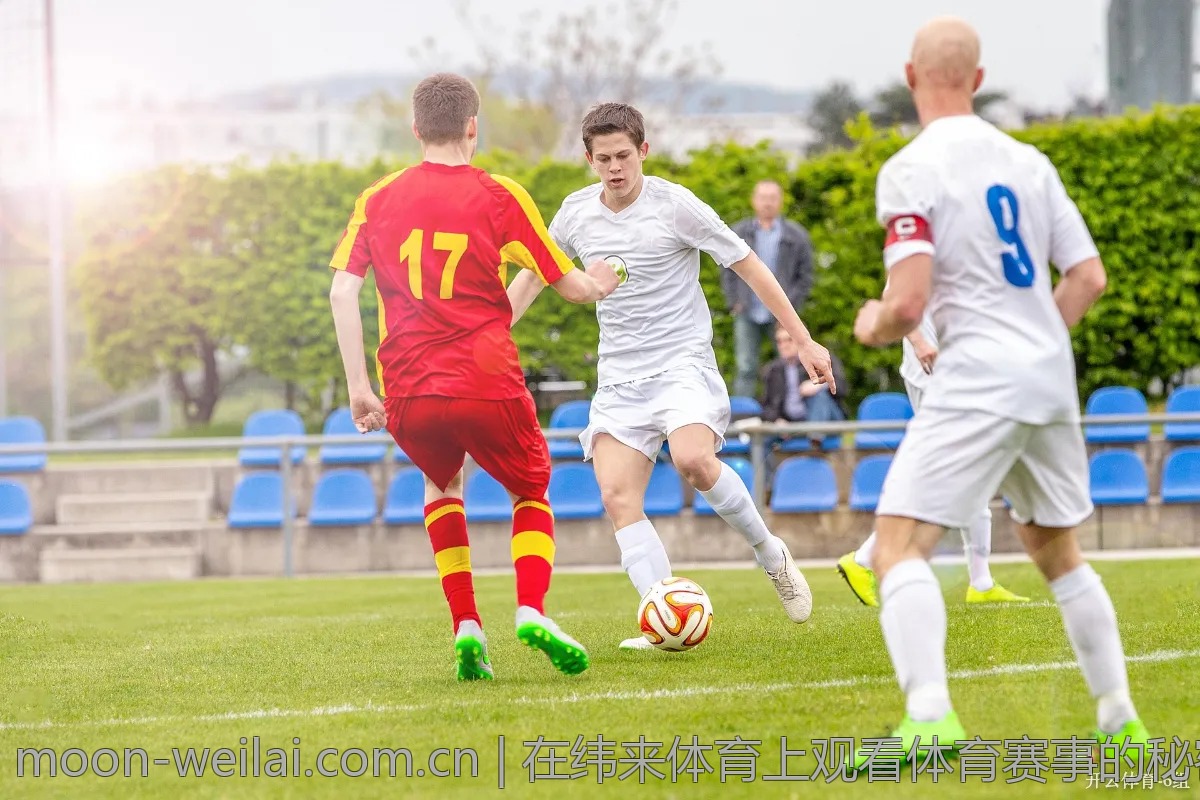 在纬来体育上观看体育赛事的秘密技巧大揭晓