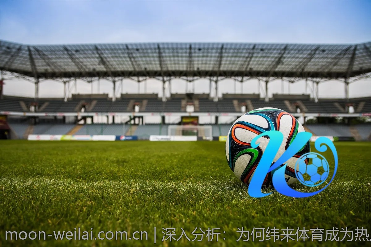 深入分析：为何纬来体育成为热点探讨对象？