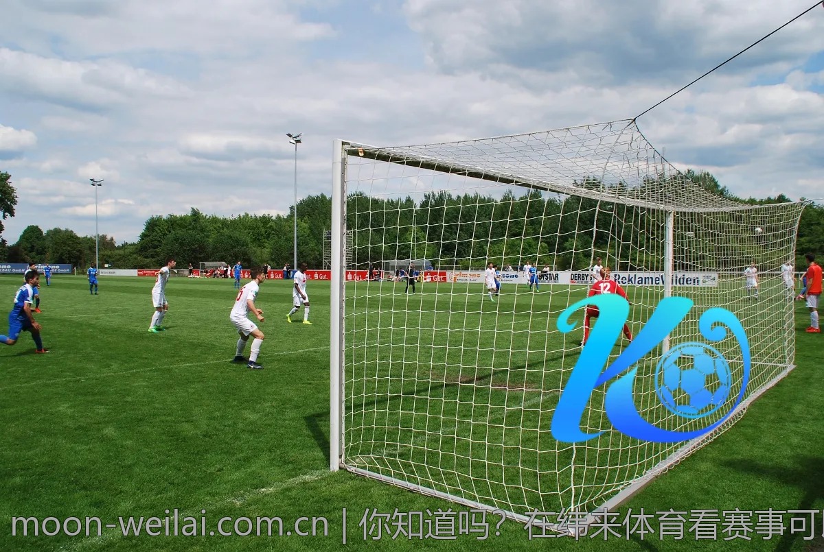 你知道吗？在纬来体育看赛事可以享受这些福利