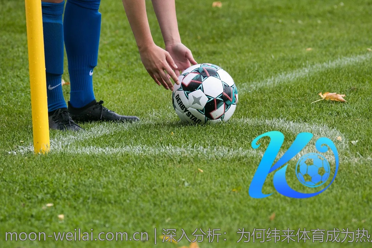 深入分析：为何纬来体育成为热点探讨对象？
